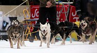 Schlittenhunderennen in Hasselfelde Bild: Schlittenhunderennen in Hasselfelde