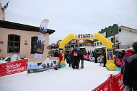 Schlittenhunderennen in Hasselfelde Bild: Schlittenhunderennen in Hasselfelde