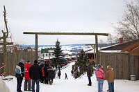 Schlittenhunderennen in Hasselfelde Bild: Schlittenhunderennen in Hasselfelde