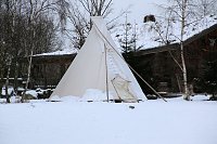 Schlittenhunderennen in Hasselfelde Bild: Schlittenhunderennen in Hasselfelde