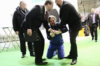 Bild: Protest bei Gr&uuml;ner Woche