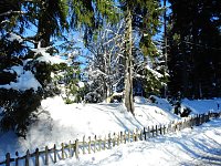 Bild: Spaziergang in Rotacker