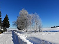 Bild: Spaziergang in Rotacker