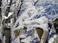 Bild: Spaziergang in Rotacker