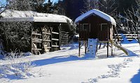 Bild: Spaziergang in Rotacker