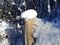 Bild: Spaziergang in Rotacker