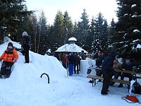 Bild: Schlittenhunderennen in Benneckenstein