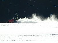 Bild: Schlittenhunderennen in Benneckenstein