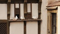 Bild: Besuch auf der Wartburg
