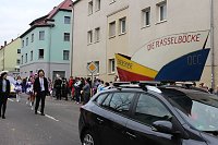 Bild: N&auml;rrinnen und Narren ziehen durch die Stadt (2)