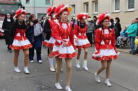 Bild: N&auml;rrinnen und Narren ziehen durch die Stadt (2)