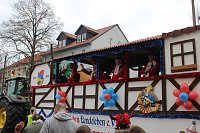 Bild: N&auml;rrinnen und Narren ziehen durch die Stadt (2)