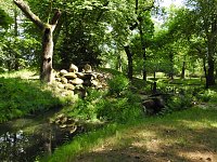 Lustwandeln im Park von Oranienbaum Bild: Lustwandeln im Park von Oranienbaum