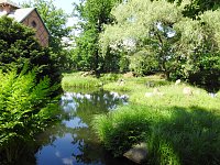 Lustwandeln im Park von Oranienbaum Bild: Lustwandeln im Park von Oranienbaum