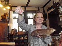 Mit Speck fängt man Mäuse! Bild: Mit Speck fängt man Mäuse!