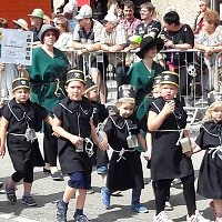 Bild: Umzug Sachsen-Anhalt-Tag 