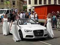 Bild: Umzug Sachsen-Anhalt-Tag 