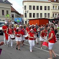 Bild: Umzug Sachsen-Anhalt-Tag 