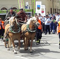 Bild: Umzug Sachsen-Anhalt-Tag 