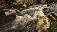 Sonntagswanderung bei Thale Bild: Sonntagswanderung bei Thale