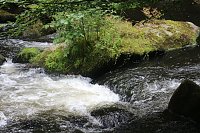 Sonntagswanderung bei Thale Bild: Sonntagswanderung bei Thale