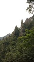 Sonntagswanderung bei Thale Bild: Sonntagswanderung bei Thale