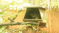 Sonntagswanderung bei Thale Bild: Sonntagswanderung bei Thale