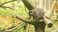 Sonntagswanderung bei Thale Bild: Sonntagswanderung bei Thale