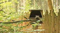 Sonntagswanderung bei Thale Bild: Sonntagswanderung bei Thale