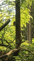 Sonntagswanderung bei Thale Bild: Sonntagswanderung bei Thale
