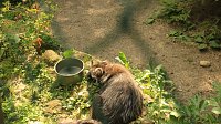 Sonntagswanderung bei Thale Bild: Sonntagswanderung bei Thale