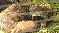 Sonntagswanderung bei Thale Bild: Sonntagswanderung bei Thale