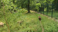 Sonntagswanderung bei Thale Bild: Sonntagswanderung bei Thale