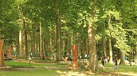 Sonntagswanderung bei Thale Bild: Sonntagswanderung bei Thale