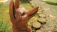Sonntagswanderung bei Thale Bild: Sonntagswanderung bei Thale
