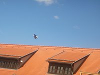 Bild: Gelebtes Mittelalter auf Burg Falkenstein