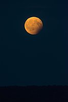 Bild: Partielle Mondfinsternis am Montag