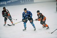 Harzer Falken schlagen sich achtbar Bild: Harzer Falken schlagen sich achtbar