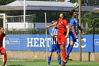 Bild: Wieder nicht belohnt - Wacker verliert bei Hertha