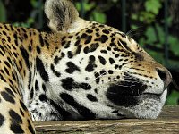 Zu Gast im Tierpark Dessau Bild: Zu Gast im Tierpark Dessau