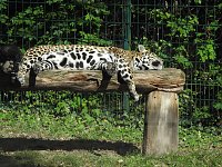 Zu Gast im Tierpark Dessau Bild: Zu Gast im Tierpark Dessau