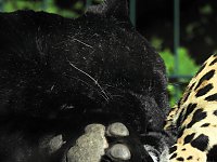 Zu Gast im Tierpark Dessau Bild: Zu Gast im Tierpark Dessau