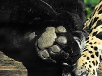 Zu Gast im Tierpark Dessau Bild: Zu Gast im Tierpark Dessau