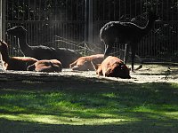 Zu Gast im Tierpark Dessau Bild: Zu Gast im Tierpark Dessau
