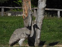 Zu Gast im Tierpark Dessau Bild: Zu Gast im Tierpark Dessau