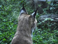 Zu Gast im Tierpark Dessau Bild: Zu Gast im Tierpark Dessau