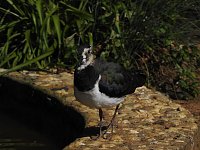 Zu Gast im Tierpark Dessau Bild: Zu Gast im Tierpark Dessau
