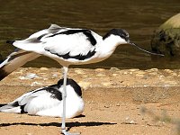 Zu Gast im Tierpark Dessau Bild: Zu Gast im Tierpark Dessau