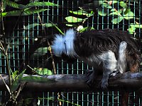 Zu Gast im Tierpark Dessau Bild: Zu Gast im Tierpark Dessau