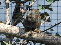Zu Gast im Tierpark Dessau Bild: Zu Gast im Tierpark Dessau